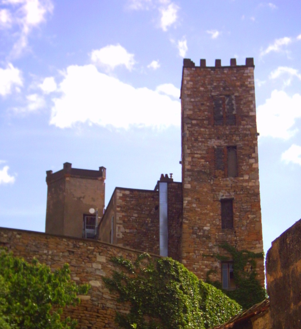Ville de Neuville-sur-Saône